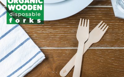 DISPOSABLE WOODEN CUTLERIES NOW AVAILABLE ALL ACROSS NORTH-AMERICA!