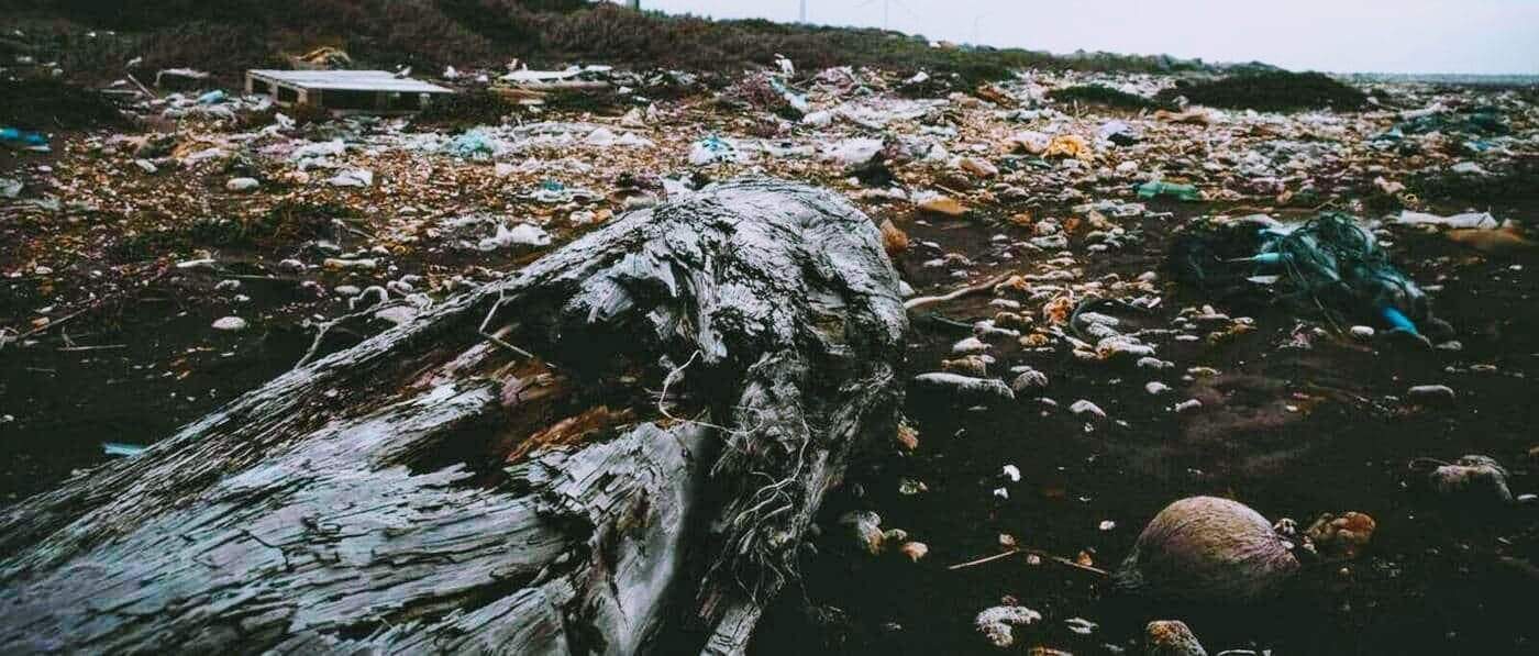 garbage